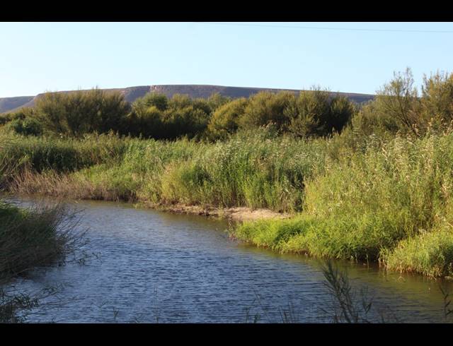 926HA FARM SOLD IN CLANWILLIAM RURAL